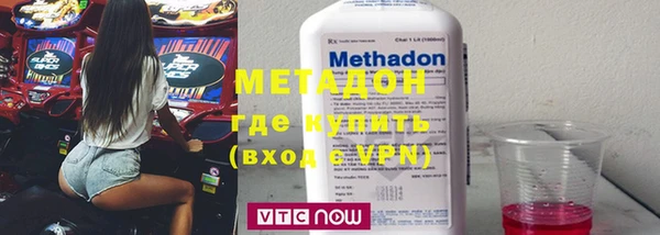 прущие грибы Горняк