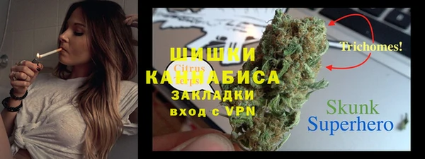 прущие грибы Горняк