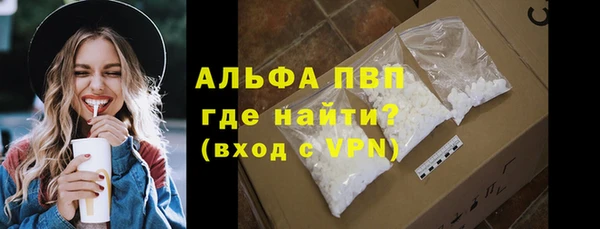 прущие грибы Горняк