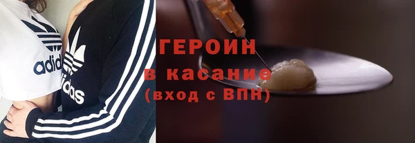 прущие грибы Горняк