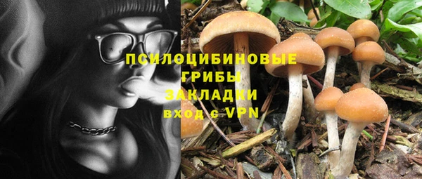 бутират Гусев