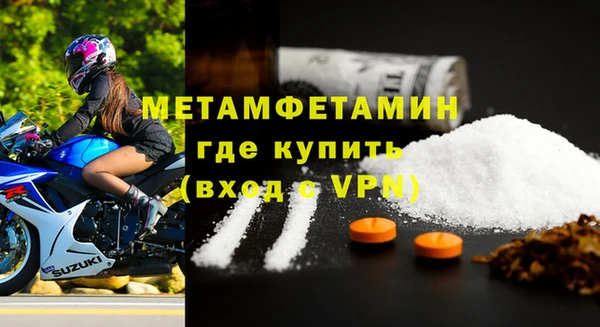 прущие грибы Горняк