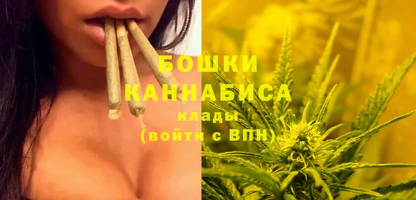 бутират Гусев